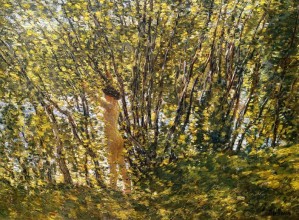 Stream in the Woods